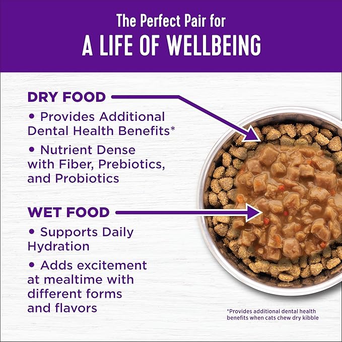 Wellness Complete Health Adult Dry Cat Food, Natural, Wholesome Grains Kibble, Salmon Recipe, 5 lb Bag
