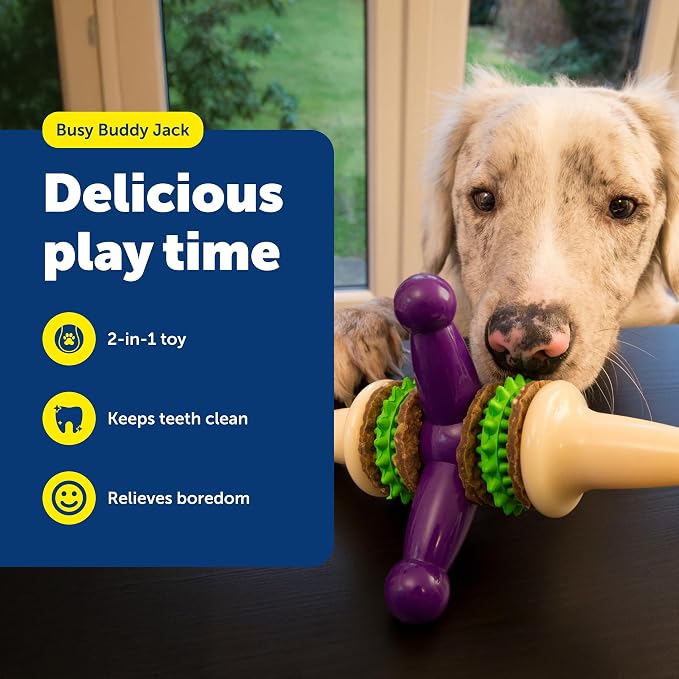PetSafe Busy Buddy Jack - Treat Holding Dog Chew Toys - Helps Clean Teeth - Vanilla Scented Rubber for Strong Chewers - Treat Refills Included - Interactive Dog Toy Keeps Dogs Busy - Purple, Large