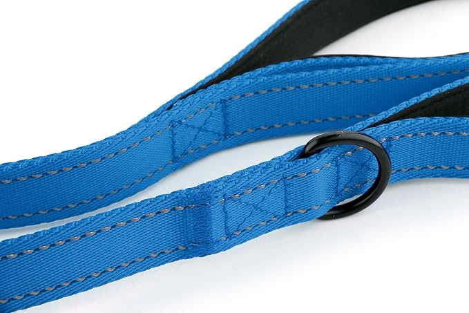 Primal Pet Gear Dog Leash 8ft Long - Blue - Traffic Padded Two Handle - Heavy Duty - Double Handles Lead for Control Safety Training - Leashes for Large Dogs or Medium Dogs - Dual Handles Leads