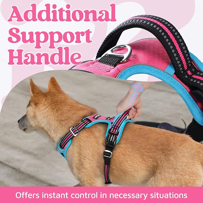 rabbitgoo Dog Harness Medium Sized, 3 Buckles Easy On & Off No Pull Pet Vest, Soft Padded Walking Pet Harness with Control Handle, Adjustable and Reflective, Rose Pink & Blue, M