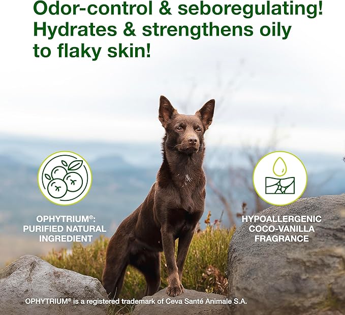 Douxo S3 SEB Dog Seboregulating Shampoo, Seborrhea Treatment for Dogs & Cats, Helps Control Dandruff, Unpleasant Odors & Oily/Flaky Skin, 0.5% Ophytrium, 16.9 fl oz