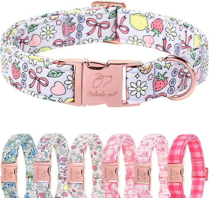 Cute Dog Collar, Spring Summer Pastel Dog Collars, Fruit Garden Dream Puppy Collar, Adjustable Heavy Duty Pet Collar for Small Medium Large Dogs with Metal Buckle M