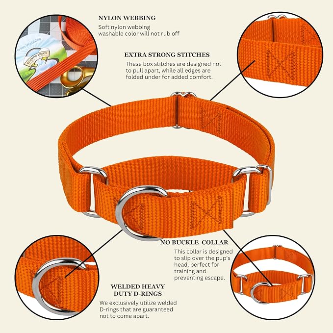 Country Brook Petz - Martingale Dog Collar - Heavy-Duty Training Collar with No Buckle - Service Dog Collar for All Pups - 20 Vibrant Colors (Orange, 3/4 Inch, Small)