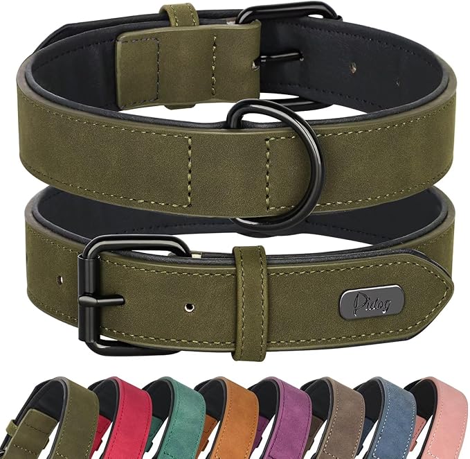 Didog Soft Padded PU Leather Dog Collar, Breathable and Adjustable Dog Collars for Medium Dogs, Comfortable for Daily Walk, Dark Green, L Fit Neck 14-18"(22-44 lbs)