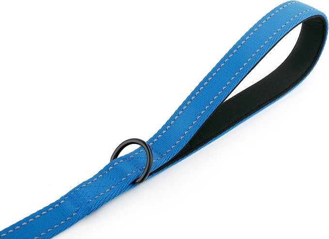 Primal Pet Gear Dog Leash 8ft Long - Blue - Traffic Padded Two Handle - Heavy Duty - Double Handles Lead for Control Safety Training - Leashes for Large Dogs or Medium Dogs - Dual Handles Leads
