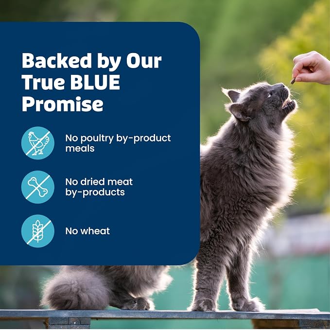 Blue Buffalo Bursts Savory Seafood Crunchy & Creamy Cat Treats, Great for Training, Real Salmon Natural Cat Treats Enhanced with Vitamins, Minerals & Other Nutrients, Tub 12 oz.