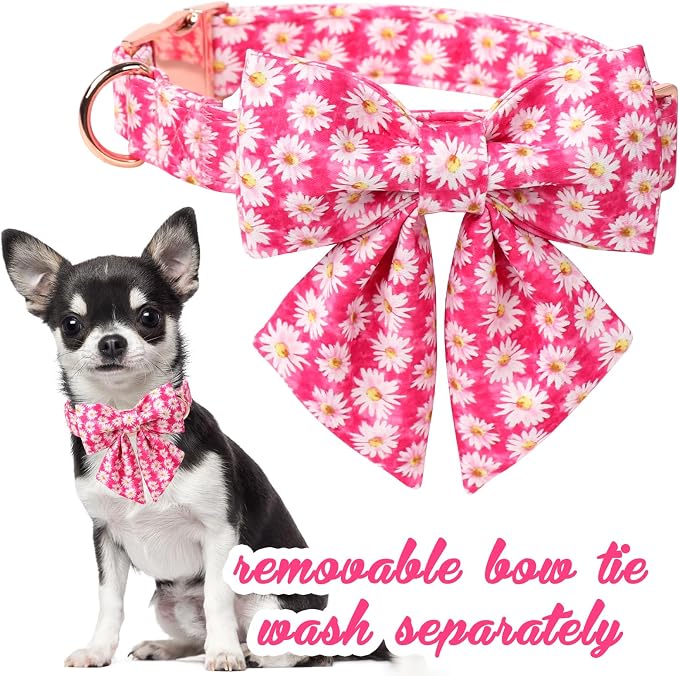 Unique style paws Cartoon Dog Collar with Bowtie Spring Summer Collar with Flower Rose Daisy for Small Medium Large Boys Girls Dogs