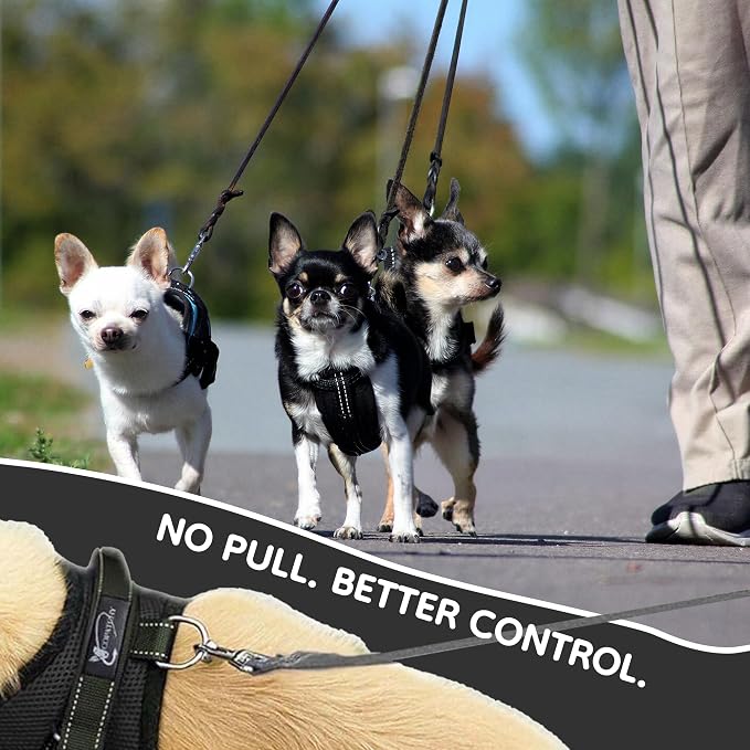No Pull Reflective Adjustable Dog Harness With Handle- Comfortable Soft All Weather Mesh, Easy On Puppy Harness For Small Medium and Large Dogs (Black) X-Small