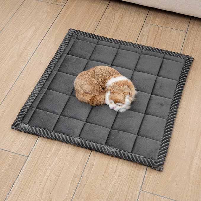Couch Cover for Dogs Washable Pet Bed Fuzzy Pet Couch Covers Nonslip Couch Slipcover for Dogs, Kids, Pets Friendly Sofa Cover Loveseat Covers (Dark Gray, 21''x21''/Square)