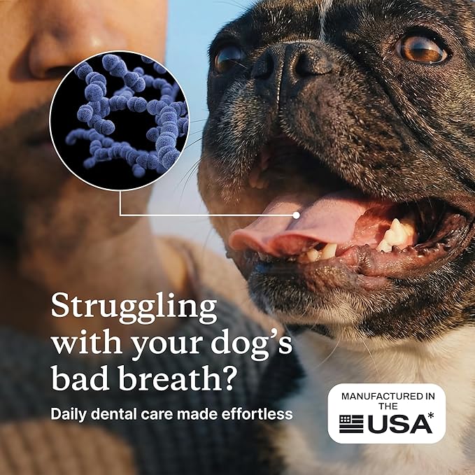 PetLab Co. ProBright Dental Powder - Dog Breath Freshener - Teeth Cleaning Made Easy – Targets Tartar & Bad Breath - Formulated for Medium Size Dogs - Packaging May Vary