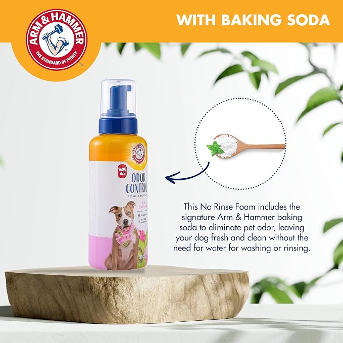 Arm & Hammer for Pets Odor Control No-Rinse Foam for Dogs, Kiwi Blossom Scent, Waterless Baking Soda Dog Deodorizer, pH Balanced, Free of Sulfates and Parabens, 16 Fl Oz