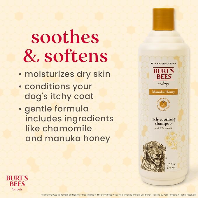 BURT'S BEES FOR PETS Itch Relief Shampoo for Dogs, Manuka Honey & Chamomile, Soothes Itchy Skin, pH Balanced for Dogs & Puppies, Will Not Wash Off Flea Treatments, Fragrance-Free, 16 Fl Oz