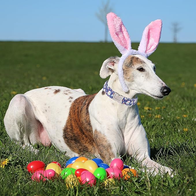 Easter Dog Collar, Cute Easter Bunny Eggs Pet Collar with Metal Buckle, Durable Adjustable Holiday Dog Collars for Small Medium Large Dogs XS