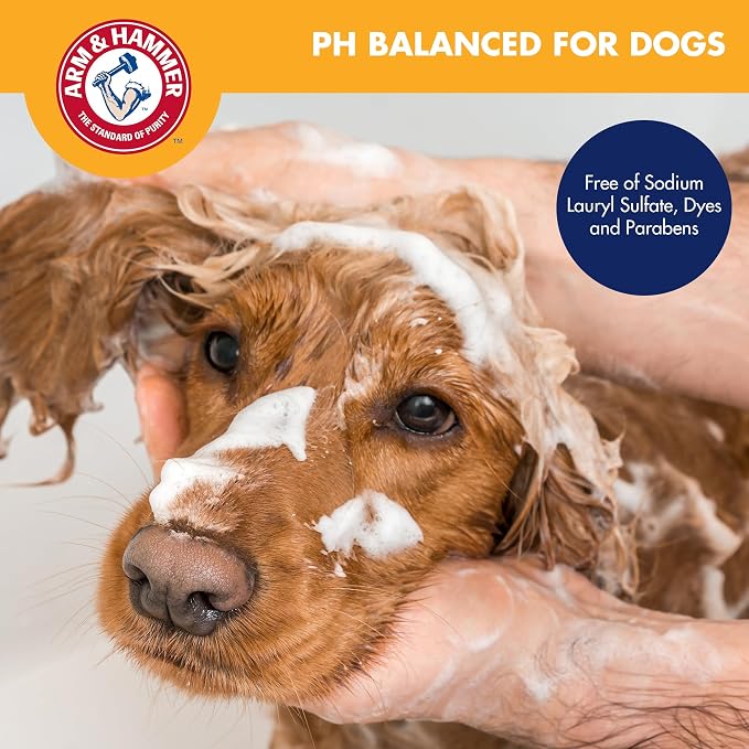 Arm & Hammer for Pets Odor Control Dog Shampoo, Pump Included, Baking Soda Enhanced, pH Balanced, Kiwi Blossom Scent, Gentle for All Dogs and Puppies, Value Size 24 Fl Oz