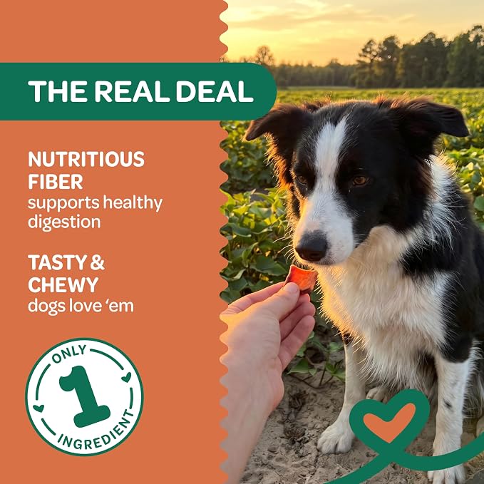 Wholesome Pride Healthy Sweet Potato Bites – Sensitive Stomach Dog Treats, No Preservatives, Single-Ingredient, No Grain, 8 oz
