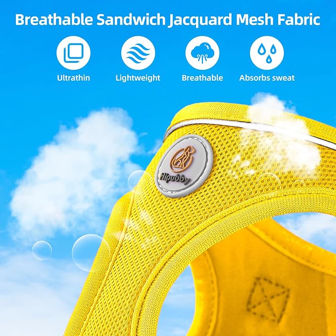 Hipubby Dog Harness and Leash Set, No Pull Soft Mesh Puppy Harness for Small Medium Dogs, Cats - Step in Reflective Breathable Lightweight Vest Harness for Walking, Training - Yellow, S