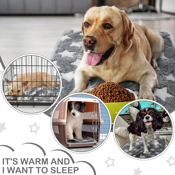 Reginary 4 Pcs Waterproof Guinea Pig Blankets Washable Small Animal Fleece Bedding Absorbent Guinea Pig Cage Liners Reusable Training Pee Pad Pet Sleep Mat for Hamster(Gray Star,24 x 16 Inch)
