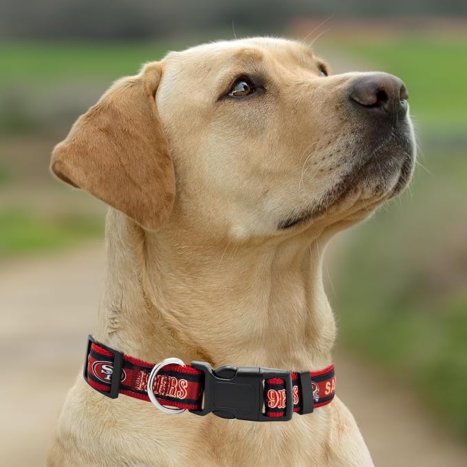 Pets First NFL San Francisco 49ers Licensed PET COLLAR, Large - Heavy-Duty, Strong, and Durable Dog Collar. Available in 31 Football Teams and 4 Sizes