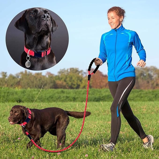 Ladoogo Reflective Dog Collar Padded with Soft Neoprene Breathable Adjustable Nylon Dog Collars for Small Medium Large Dogs (X-Small (Pack of 1), Red Collar+Leash)