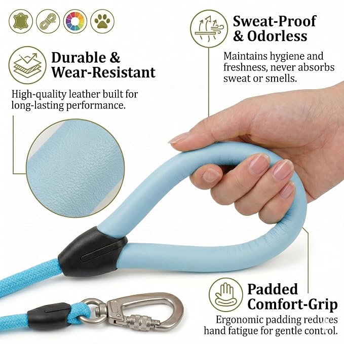 Small Dog Leash, 5ft Dog Leashes for Medium Dogs, Blue Leash, Rope Dogs Leashes, Strong Nylon Pet Lead, Pet Leather, Puppy Lead, Comfortable Leather Handle (Mint Blue, 5 Feet)