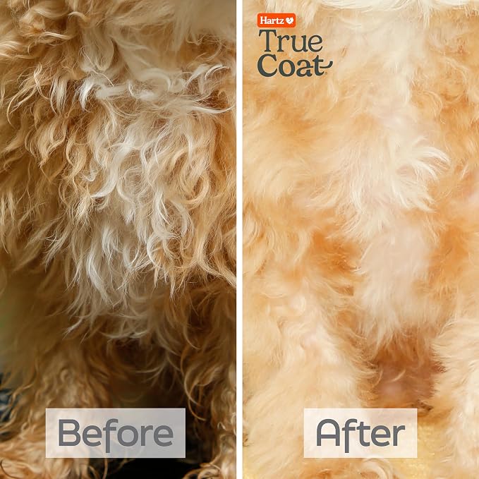 True Coat Curly or Wavy Dog Shampoo, 5 in 1 Detangles & Conditions with Oat Milk, Coconut Oil & Shea Butter, 16 oz
