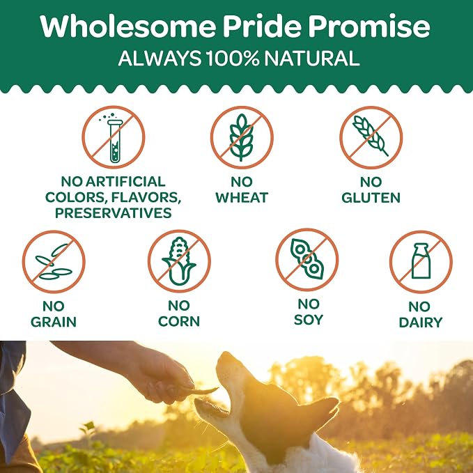 Wholesome Pride Healthy Sweet Potato Chews – Sensitive Stomach Dog Treats, No Preservatives, Single-Ingredient, No Grain, 16 oz