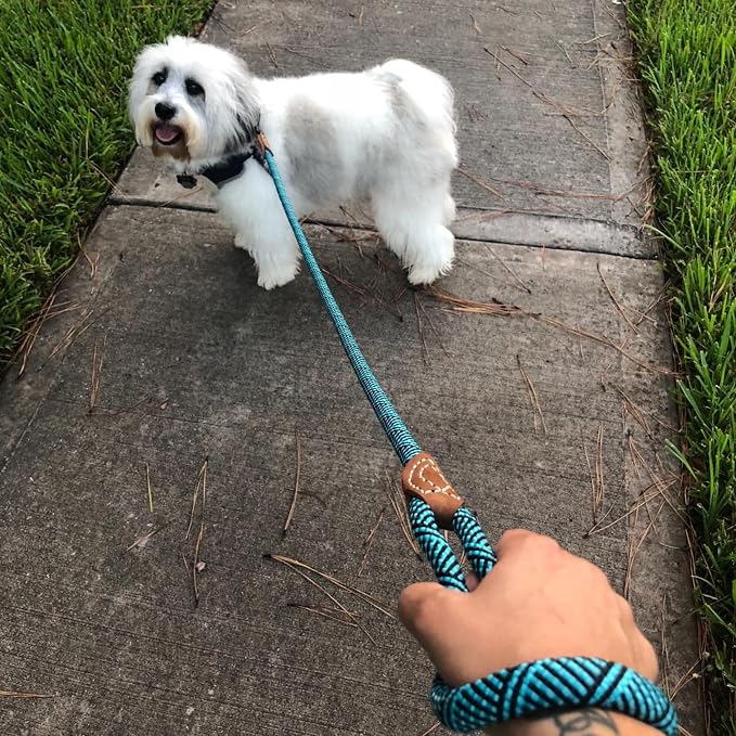 Mile High Life Rope Leash with Genuine Leather Connection, 6 FT/5 FT/4 FT, Heavy Duty Leash for Medium & Large Dogs (Turquoise Green, 60 Inch)