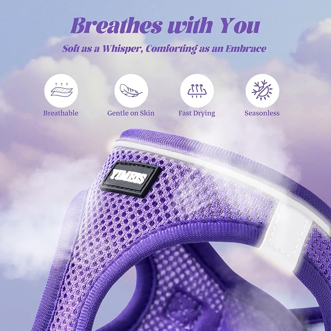 YIMEIS Dog Harness and Leash Set, No Pull Soft Mesh Pet Harness, Reflective Adjustable Puppy Vest for Small Medium Large Dogs, Cats (Purple, X-Small (Pack of 1)