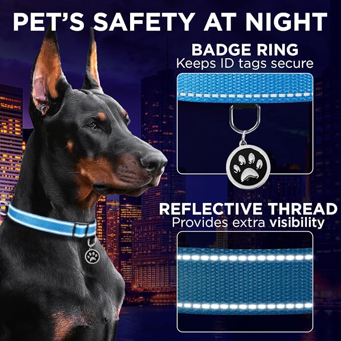 TECEUM Reflective Dog Collar – Sky Blue – L – Extra Soft Padding – Basic Nylon Pet Collar – Quick Release Buckle – Fits Small, Medium and Large Dogs, Puppies, Cats – ESA & Service Dog Options
