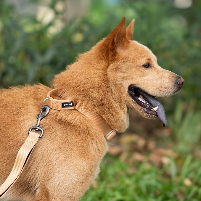 Hyhug Martingale Dog Collar Medium Clay |Escape - Proof Heavy Duty Nylon Durable No Slip, Ideal for Training & Daily Walks