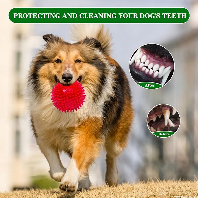 4.5″ Squeaky Dog Balls 4 Color Dog Toys Balls for Medium Large Dogs Pet Puppy Chew Toys for Teething No Odor Durable Spiky Balls for Teeth Cleaning and Training for Large Dogs (Large)