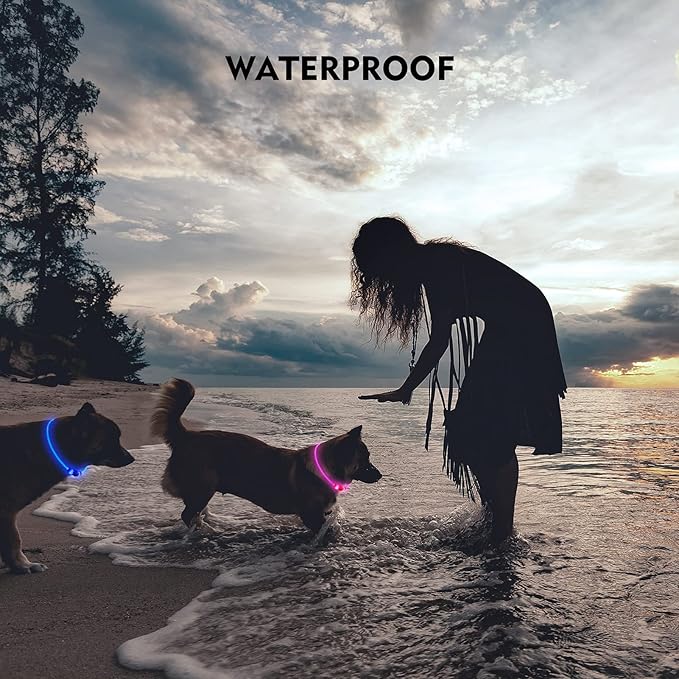 NOVKIN LED Dog Collar, Cut-to-Fit Light Up Dog Collar for Night Walking, IP67 Waterproof USB Rechargeable Glowing Pet Collar, High Visibility Super Bright Safety Lights for S/M/L Dogs(Blue)