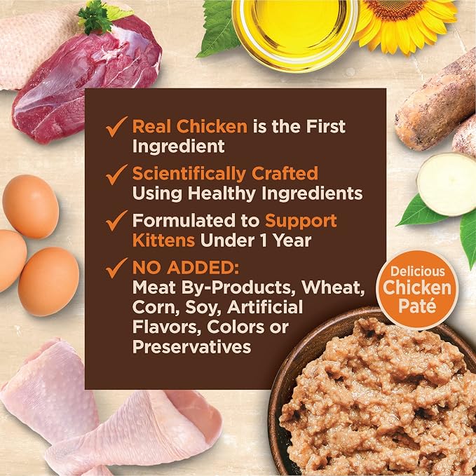 Wellness CORE Tiny Tasters Pate Kitten Wet Cat Food, Natural, Protein Rich, Grain Free, Chicken Recipe, 1.75 oz, Pack of 12 Pouches