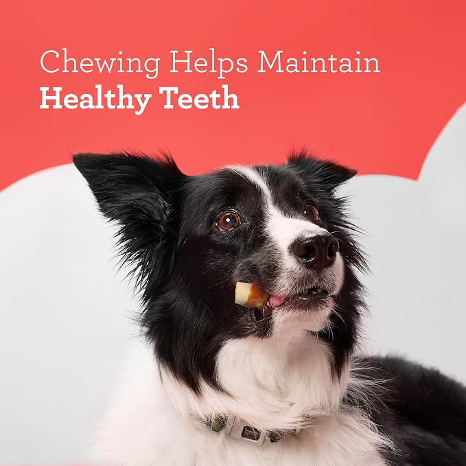 DreamBone Chicken Wrapped Mini Stick Dog Treats, Daily Rawhide-Free Chew, Digests Safely and Completely, With Real Protein, Chicken and Veggies, 15 count