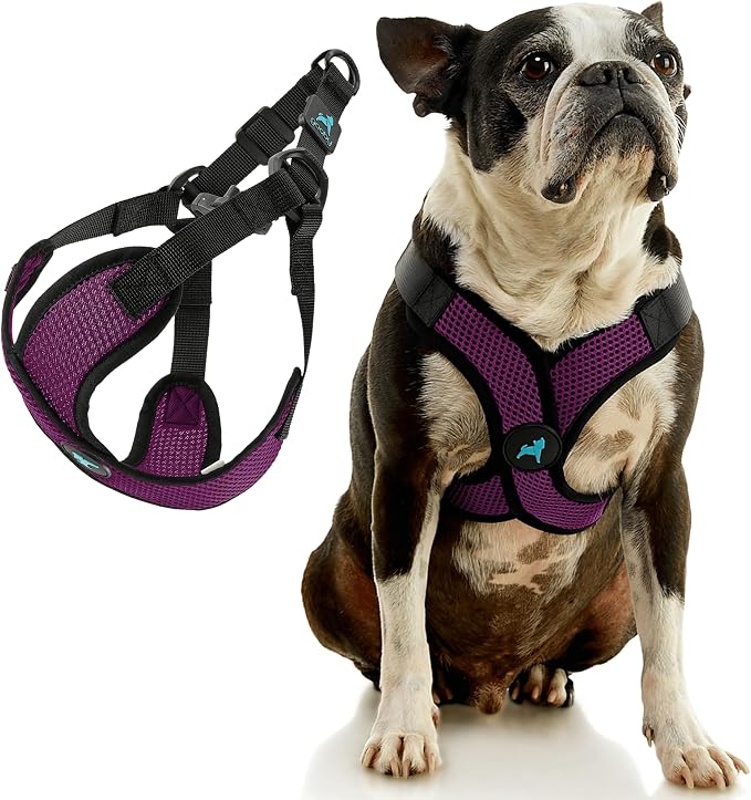 Gooby Comfort X Step in Lite Dog Harness - Choke Free, Escape Free with Light Breathable Mesh - Step in Dog Harness for Small Dogs Only - Quick Release Buckle, Metal D-Rings - Purple, Small