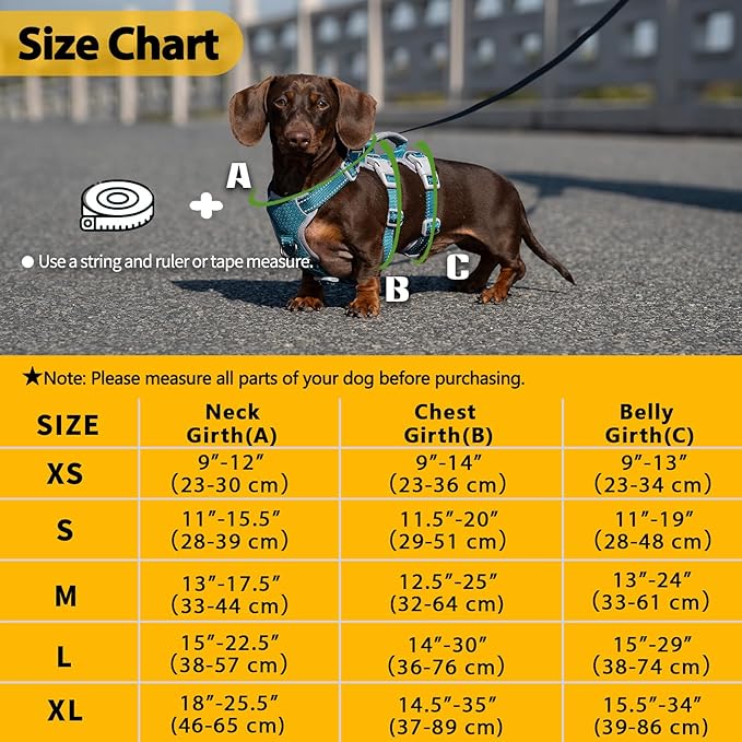 Huntboo No Escape Dog Harness, Escape Proof Harness, Fully Reflective Harness with Padded Handle, Breathable, Durable, Adjustable Vest for Medium Dogs Walking, Training, and Running Gear (Teal,M)