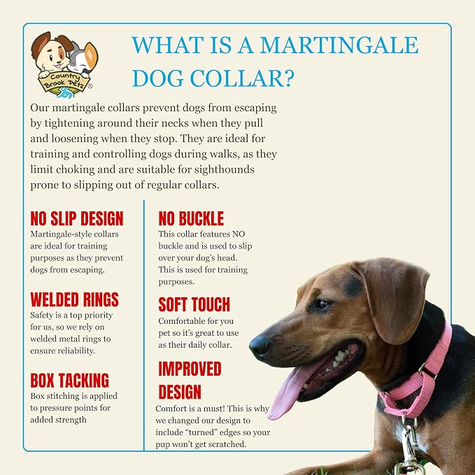 Country Brook Petz - Martingale Dog Collar - Heavy-Duty Training Collar with No Buckle - Service Dog Collar for All Pups - 20 Vibrant Colors (Pink, 3/8 Inch, 2XS)