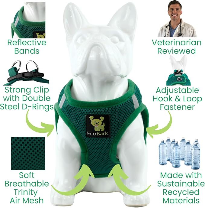 EcoBark Extra Small Dog Harness - Luxury Soft Harness for Puppies & XS Dogs - Mini Step in Vest Body Halter Under 6 lbs (Forest Green, XS)