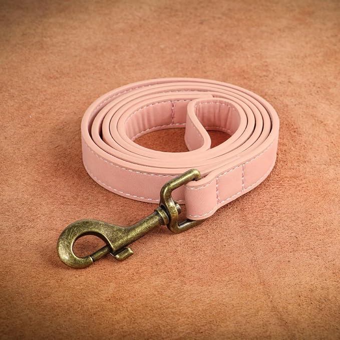 Didog PU Leather Dog Leash, Colorful Dog Leash 4ft, Strong and Durable Faux Leather Lead, Walking and Training Lead for Small Medium Dogs,Pink