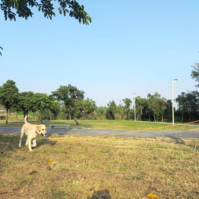 ZALER Long Dog Leash, 50 feet 30ft 20ft 15ft 10ft Dog Training Lead, Heavy Duty Reflective Check Cord Recall Leash for Dogs Training, Playing, Camping, or Backyard (10FT, Orange)