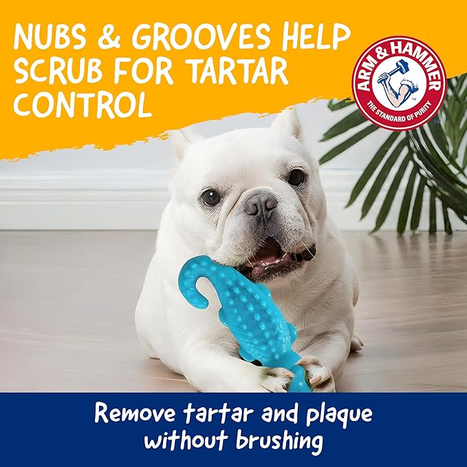 Arm & Hammer Nubbies Gator Dental Chew Toy for Dogs, Mint Flavor, Baking Soda Infused, Scrubbing Grooves to Reduce Plaque and Tartar, No Stuffing, for Moderate Chewers - 24 Pack