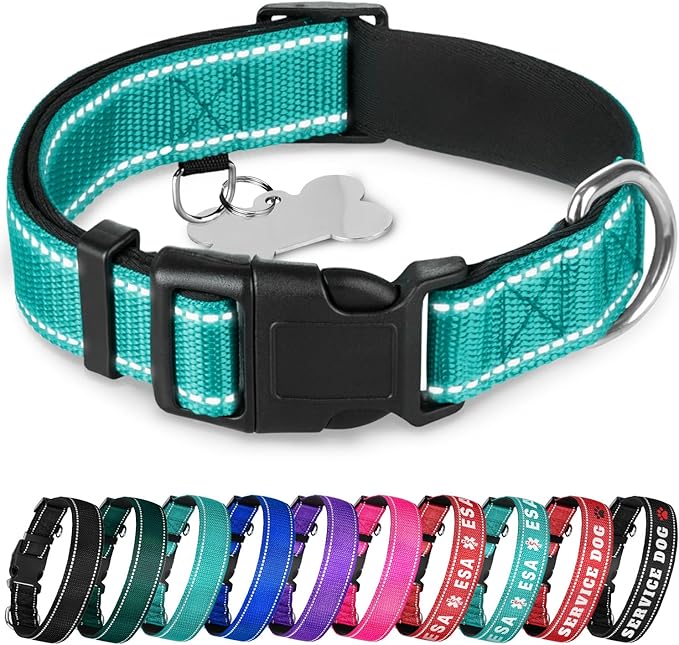 TECEUM Reflective Dog Collar – Teal – S – Extra Soft Padding – Basic Nylon Pet Collar – Quick Release Buckle – Fits Small, Medium and Large Dogs, Puppies, Cats – ESA & Service Dog Options