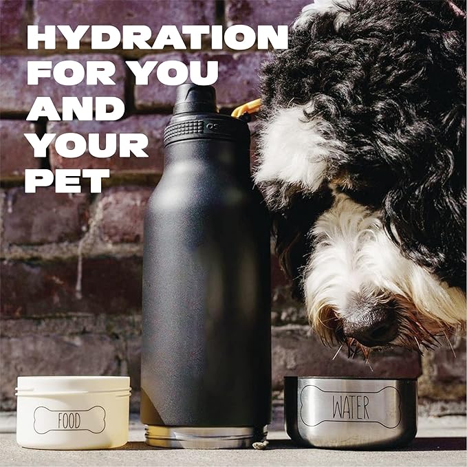 asobu Buddy Bottle a Stainless Steel Insulated Water Bottle for with Removable Dog Water Bowl and Dog Food and Treat Storage Bowl (White, 34 oz Water Bottle | 2 Bowls)