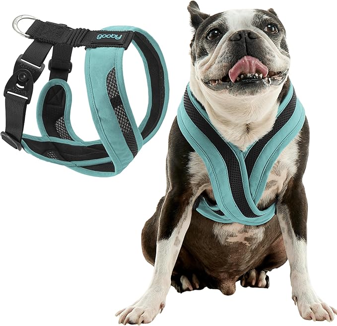 Gooby Comfort X One Dog Harness - Head-in Dog Harness for Small & Medium Sized Dogs - Escape-Free & Choke Free - Breathable Mesh, Shock Absorbing, Easy Snap & Swivel Buckles - Seattle Blue, Large
