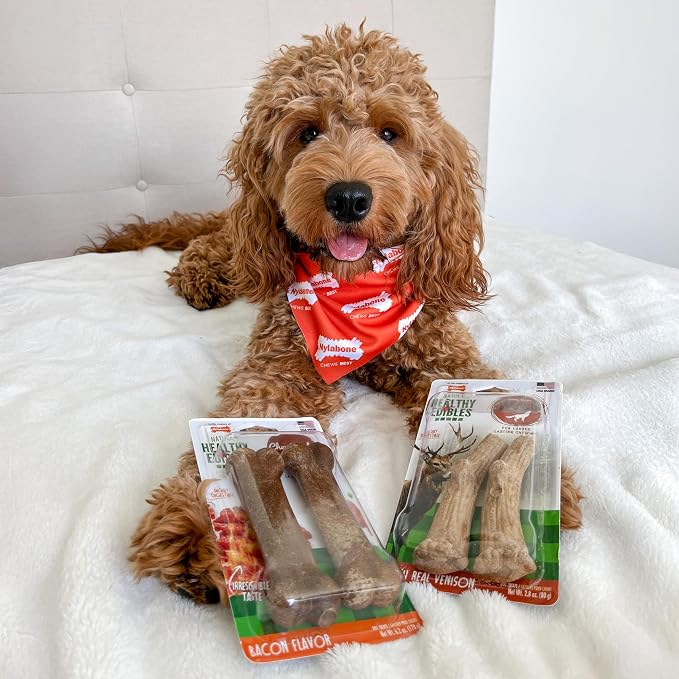 Nylabone Healthy Edibles WILD Natural Dog Chew Treats for Large Dogs, Long Lasting Dog Healthy Chew Antler Bone Made in USA, Venison Flavor, For Dogs Up to 50 lbs. (2 Count)