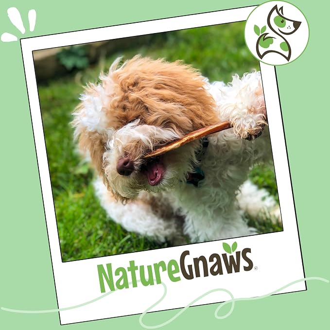Nature Gnaws Extra Thin Bully Sticks for Small Dogs 5-6" (10 Count) - Long Lasting for Light Chewers and Puppies - Natural Beef Dog Chew Bones