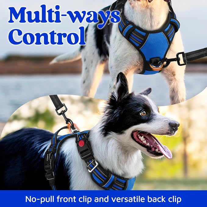 rabbitgoo Dog Harness for Large Dogs, 3 Buckles Easy On & Off No Pull Pet Vest, Soft Padded Walking Pet Harness with Control Handle, Adjustable and Reflective, Royal Blue, XL