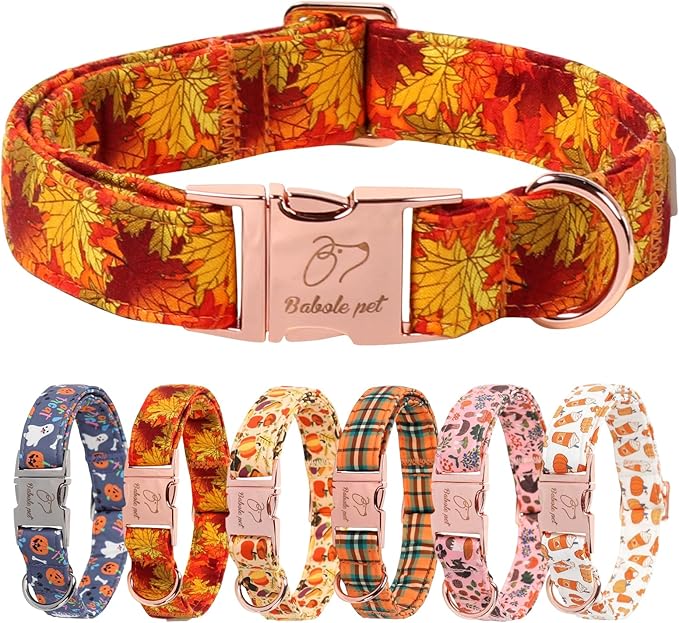 Fall Dog Collar for Small Dogs - Gold Maple Leaves Tanksgiving Puppy Collar, Adjustable Heavy Duty Fall Festivel Cotton Dog Collars with Metal Buckle S