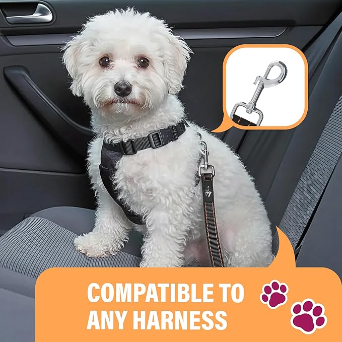Active Pets Blue Car Seat Belt for Dogs, Attaches to Harness & Collar, Adjustable 18" - 24" Travel Restraint System Fits Small - Large Pups for Safety & Comfort, Essential Pet Supplies & Accessories