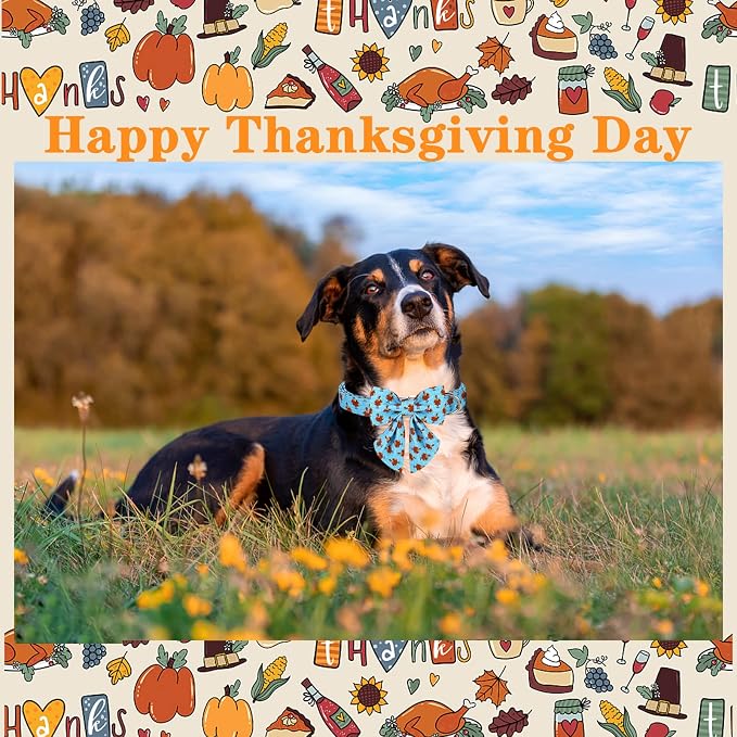 Unique style paws Thanksgiving Dog Collar with Bow Tie Blue Turkey Puppy Collar for Small Medium Large Dogs as Autumn Winter Pet Gifts-XL